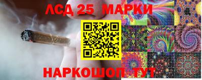 прущие грибы Кандалакша