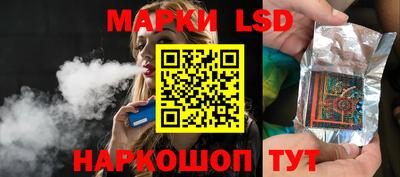прущие грибы Кандалакша
