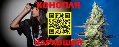 сатива Канаш