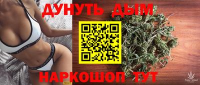 прущие грибы Кандалакша