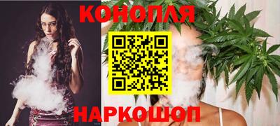 прущие грибы Кандалакша