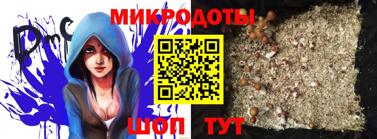 Псилоцибиновые грибы ЛСД  Вход с VPN  Псилоцибиновые грибы Psilocybine cubensis  Кинешма 